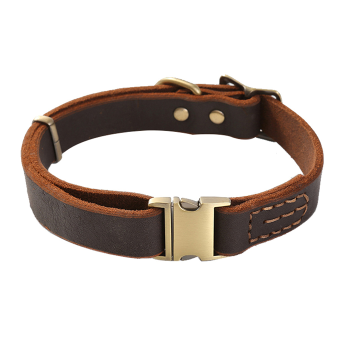 Collar 4