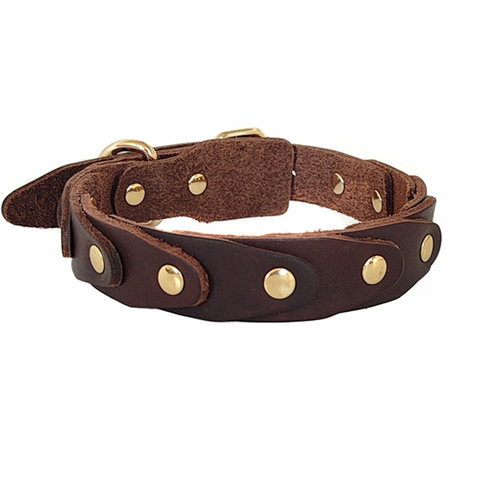 Collar 3