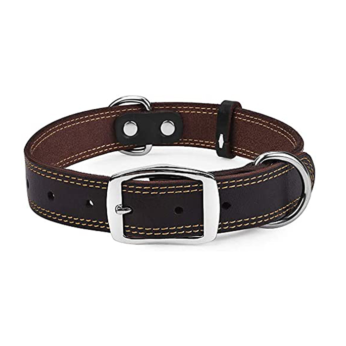 Collar 2