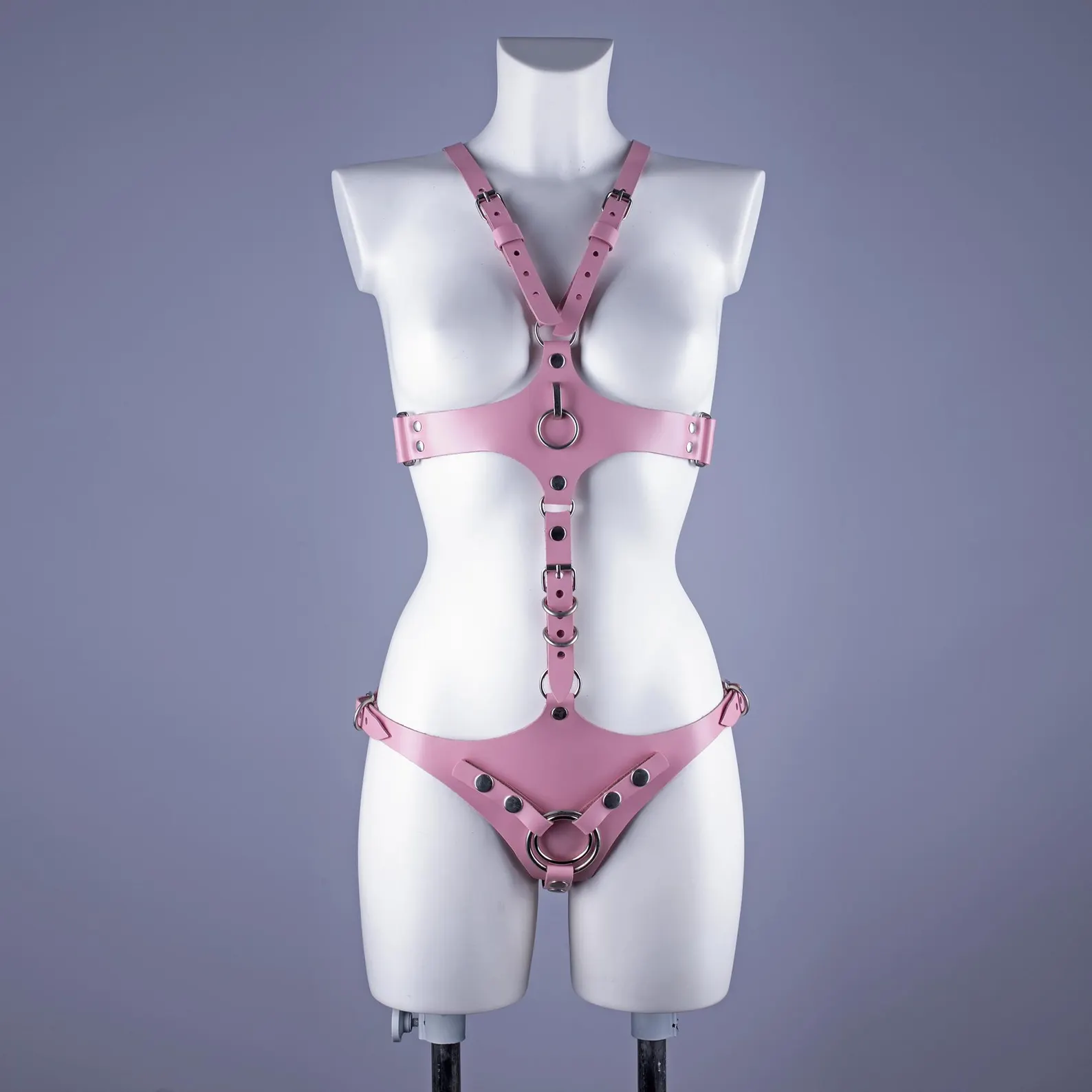 Leather Harness