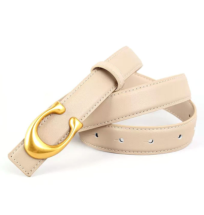 Plate Buckle Belt
